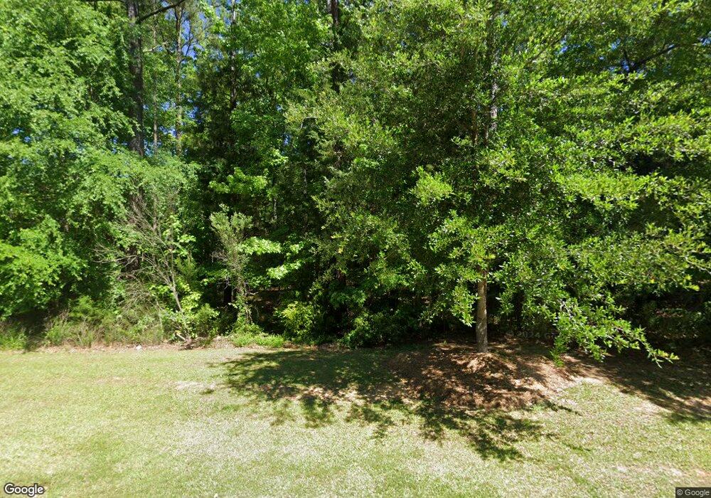 106 Woolbright Ave, Chapin, SC 29036 - photo 1