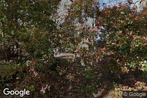 431 Ouachita Road 20, Chidester, AR 71726