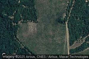 8817 Roberts Rd, Mitchell, GA 30820