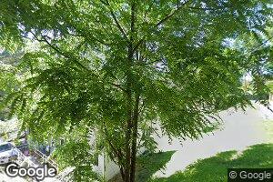 111 Hickory St, Gauley Bridge, WV 25085