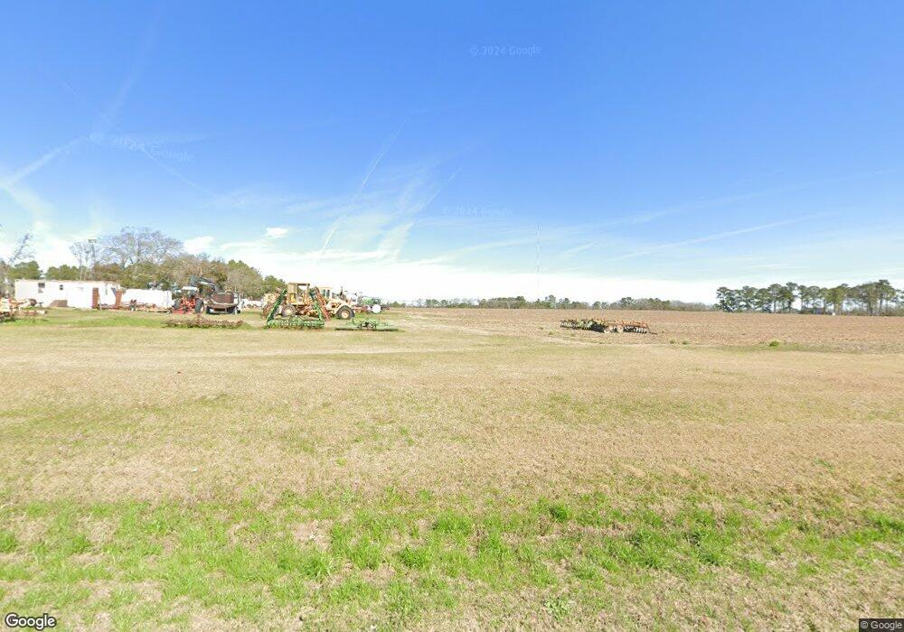 2610 Harmony Rd SE, Pelham, GA 31779 - photo 1