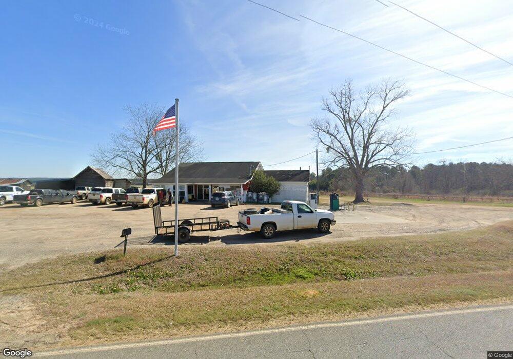 1669 Griffin Ferry Rd, Lyons, GA 30436 - photo 1