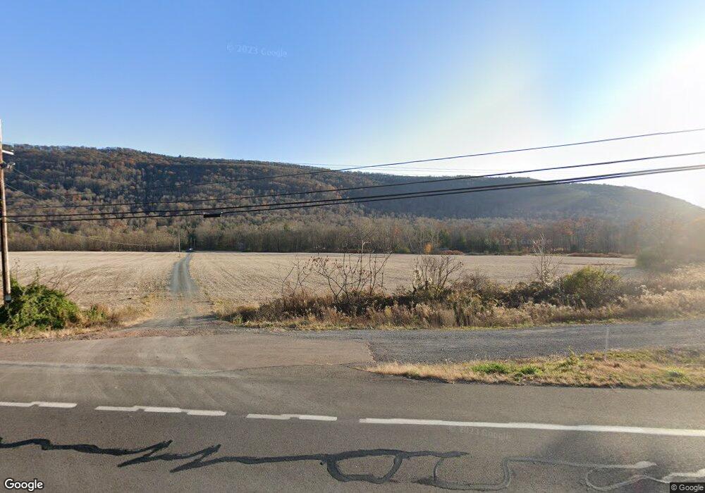 509 W Moores Rd, Orangeville, PA 17859 - photo 1