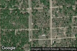 63 E Lexington Ave, Idlewild, MI 49642