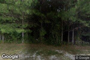 14577 Tucker Swamp Rd, Zuni, VA 23898