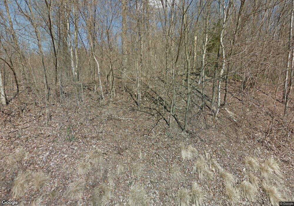 164 Catnip Trail, Landrum, SC 29356 - photo 1