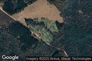 557 Browning Rd, Ailey, GA 30410