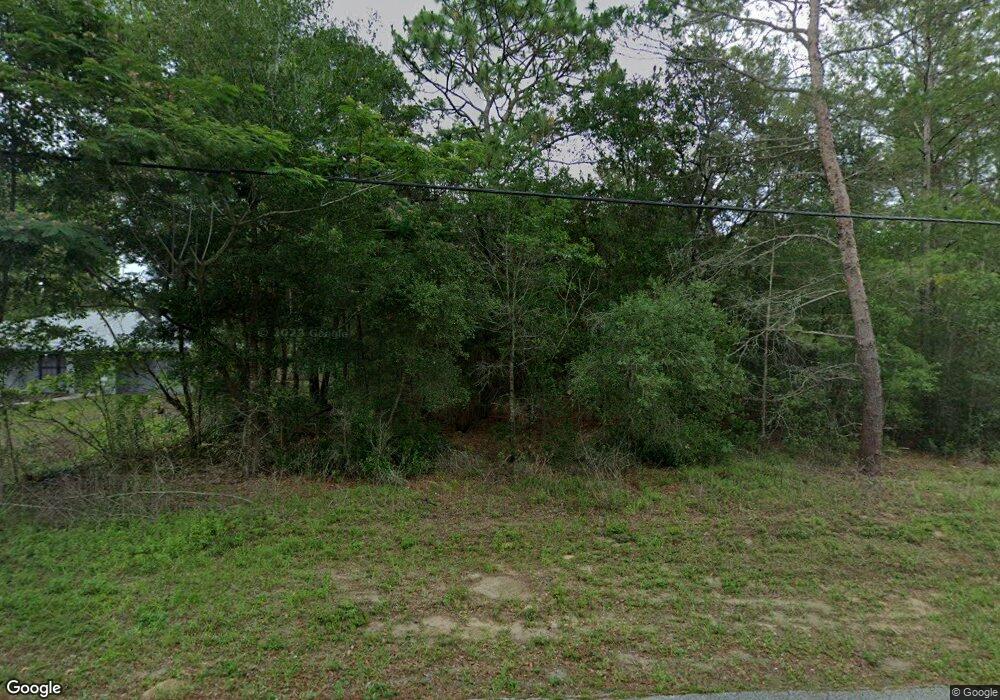 3387 N Tyrone Ave, Hernando, FL 34442 - photo 1