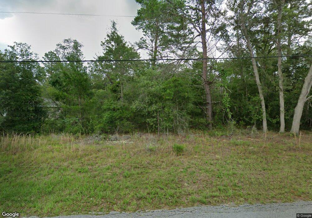 3331 N Tyrone Ave, Hernando, FL 34442 - photo 1