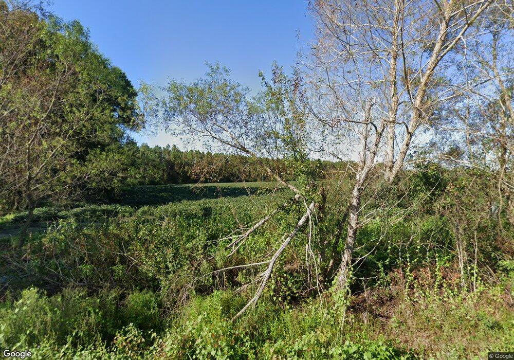 335 Joyce Rd, Pearson, GA 31642 - photo 1