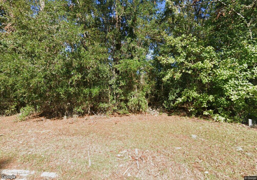 169 Cabbage Palm Trail, Brunswick, GA 31520 - photo 1