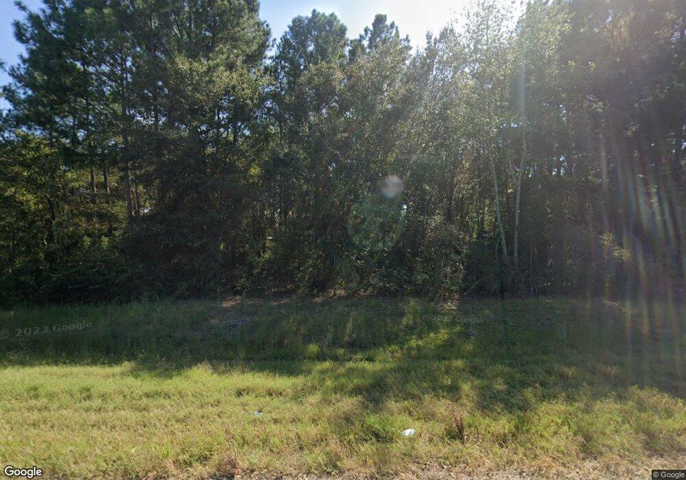 9951 N Us Highway 341, Odum, GA 31555 - photo 1