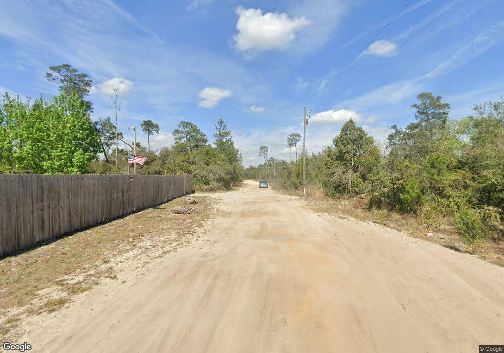 0 Palmetto St unit 25670324, Paisley, FL 32767 - photo 1