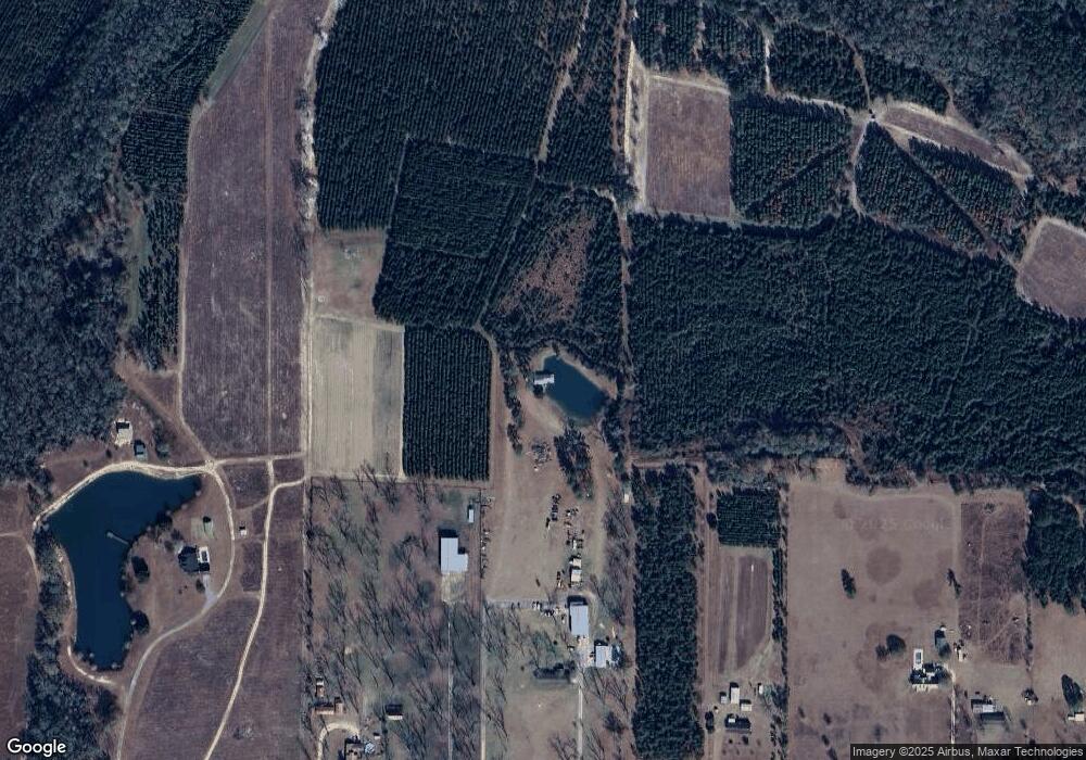 4510 Molly Branch Rd, Blackshear, GA 31516 - photo 1