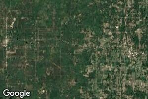 8388 E Center St, Chase, MI 49623