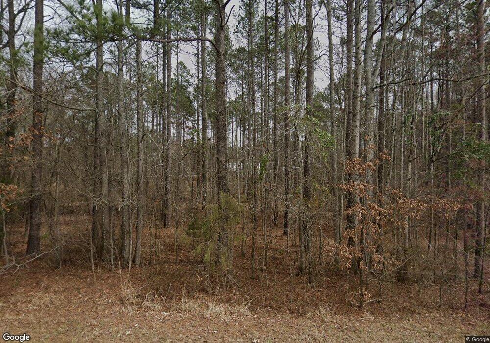 3125 Leathersville Rd, Lincolnton, GA 30817 - photo 1