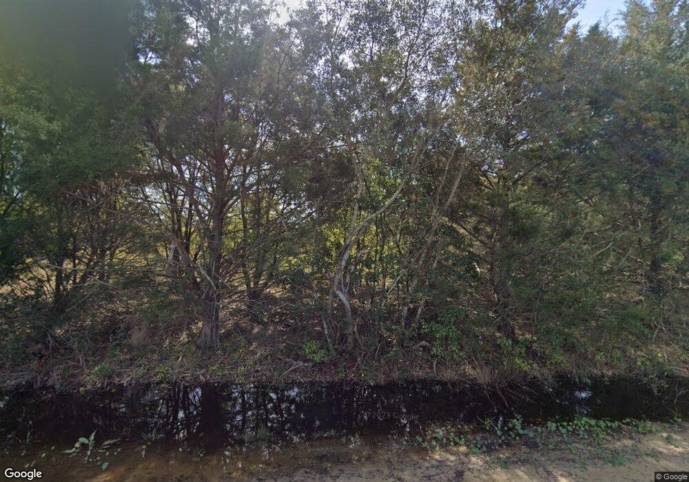 293 J C Abbott Rd, Adel, GA 31620 - photo 1