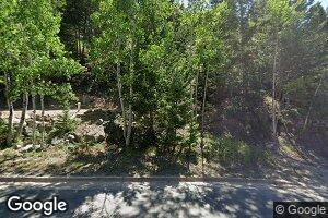 316 Guanella Pass Rd, Georgetown, CO 80444