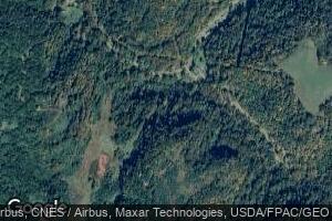 1317 Walnut Fork, Alum Bridge, WV 26321