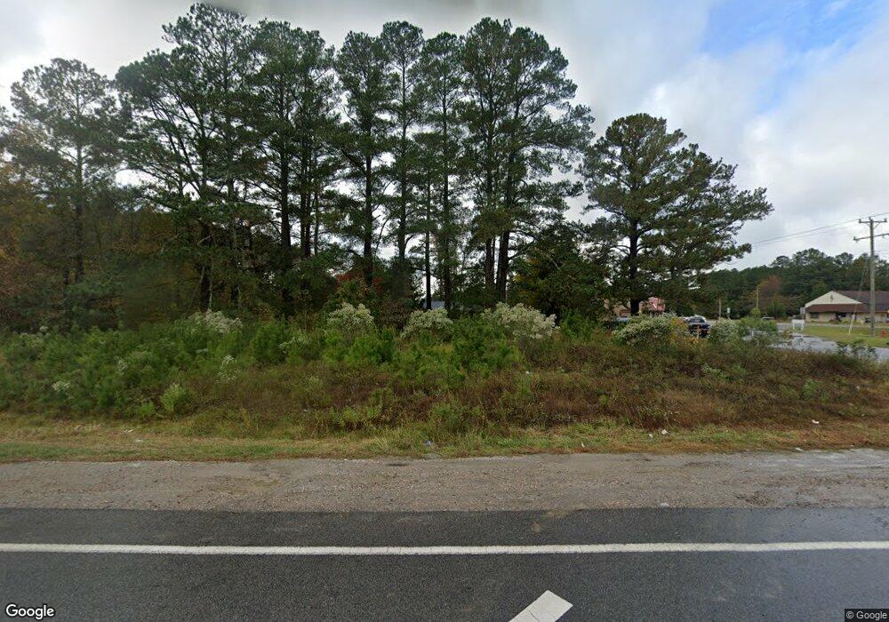 100 Prison Camp Rd, Williamston, NC 27892 - photo 1