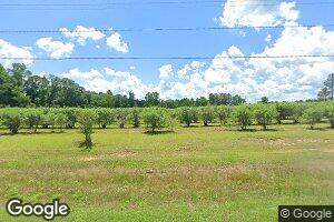 1918 Smithtown Chicora Rd, State Line, MS 39362