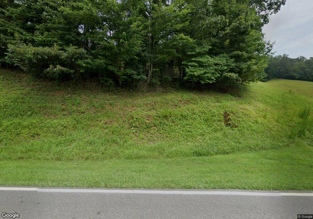 2451 Boardtown Rd unit 3A, Ellijay, GA 30540 - photo 1