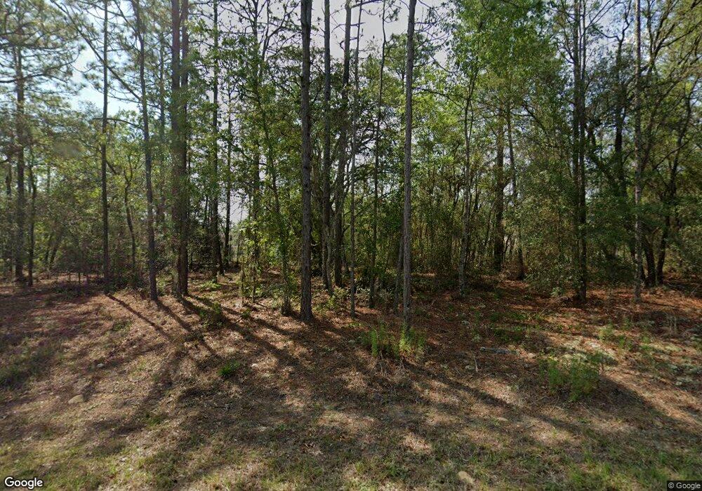 106 W Diego Place, Citrus Springs, FL 34434 - photo 1