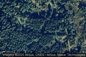 79564 Letz Creek Rd, Lorane, OR 97451