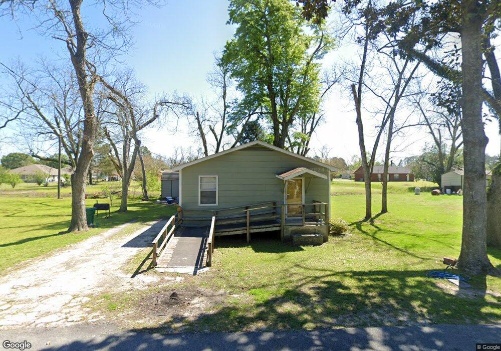 246 Martin Luther King jr Dr, Baconton, GA 31716 - photo 1