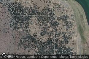 077 Ivy, Spaulding, CA 96130