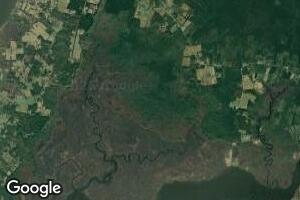 0 Muddy Hole Rd Unit 1000807356, Tyaskin, MD 21865