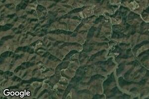 2 Big Lynn, Genoa, WV 25517