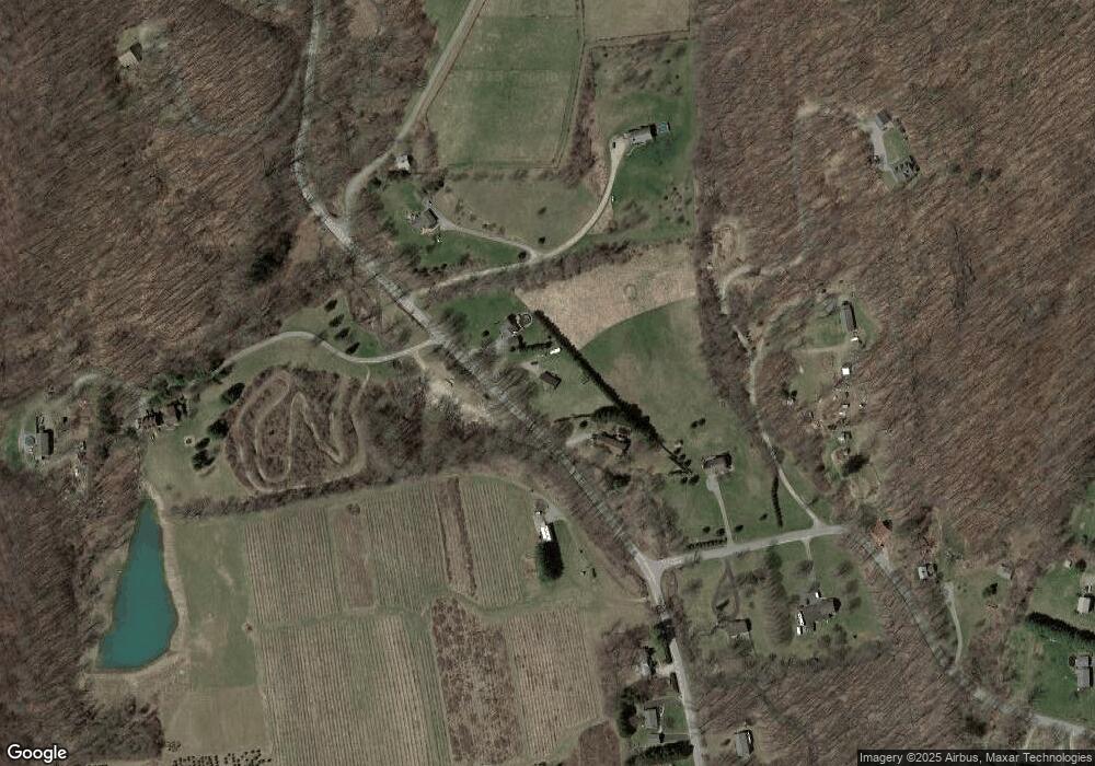 64 Cascade Mountain Rd, Amenia, NY 12501 - photo 1