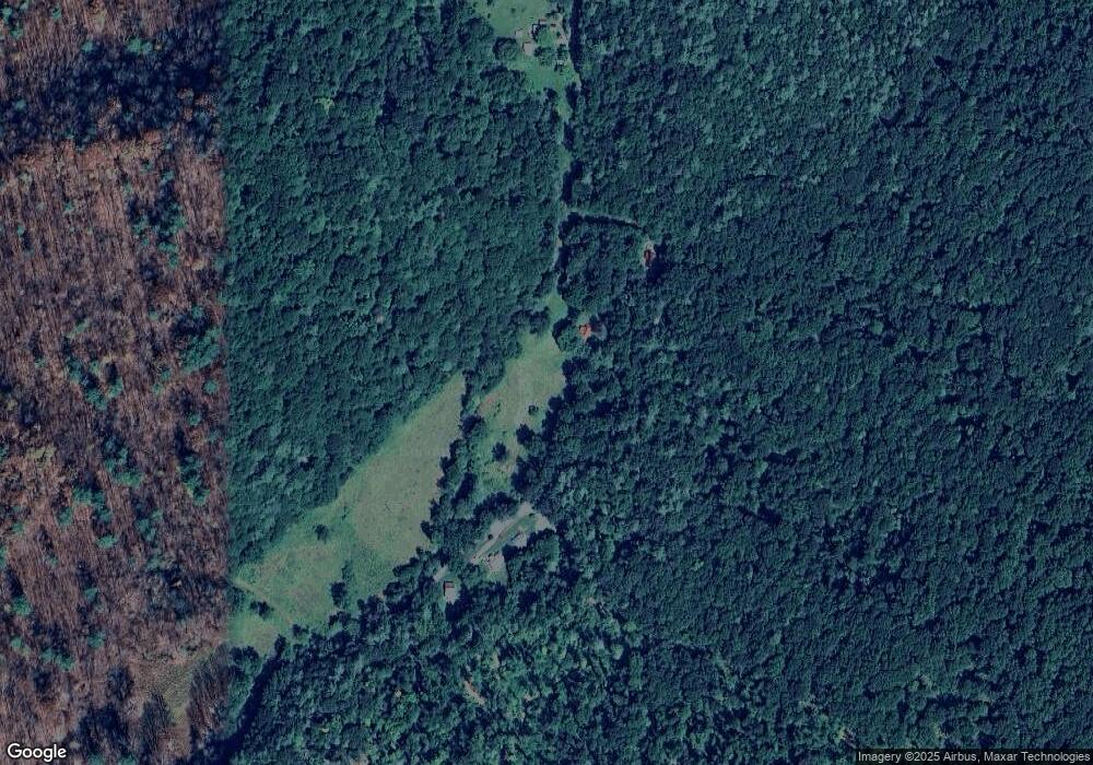 519 Pedlar River Rd, Vesuvius, VA 24483 - photo 1