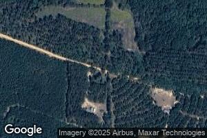 1088 Mount Pleasant Rd, Buena Vista, GA 31803