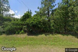 7794 Griffin Chapel Rd, Mitchell, GA 30820