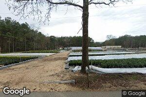 226 Butter Cemetery Rd, Forest Hill, LA 71430