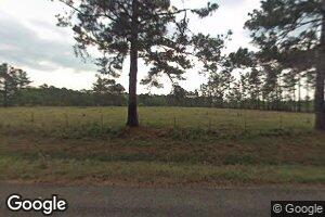 8387 Twin Bridges Rd, Elmer, LA 71424