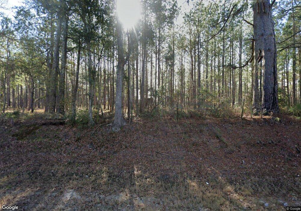 10424 Ga Highway 188, Ochlocknee, GA 31773 - photo 1