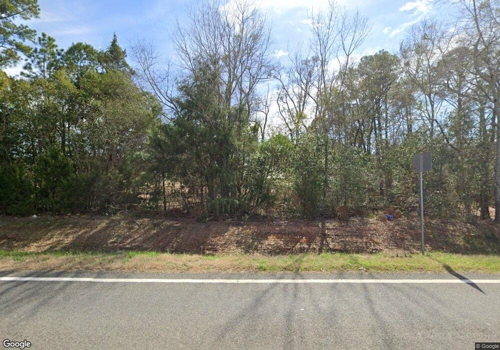 3688 Ga Highway 111, Meigs, GA 31765 - photo 1