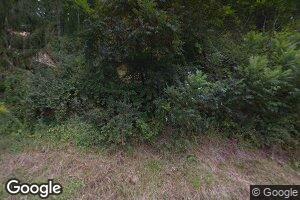 166 Green Valley Rd, Rowlesburg, WV 26425