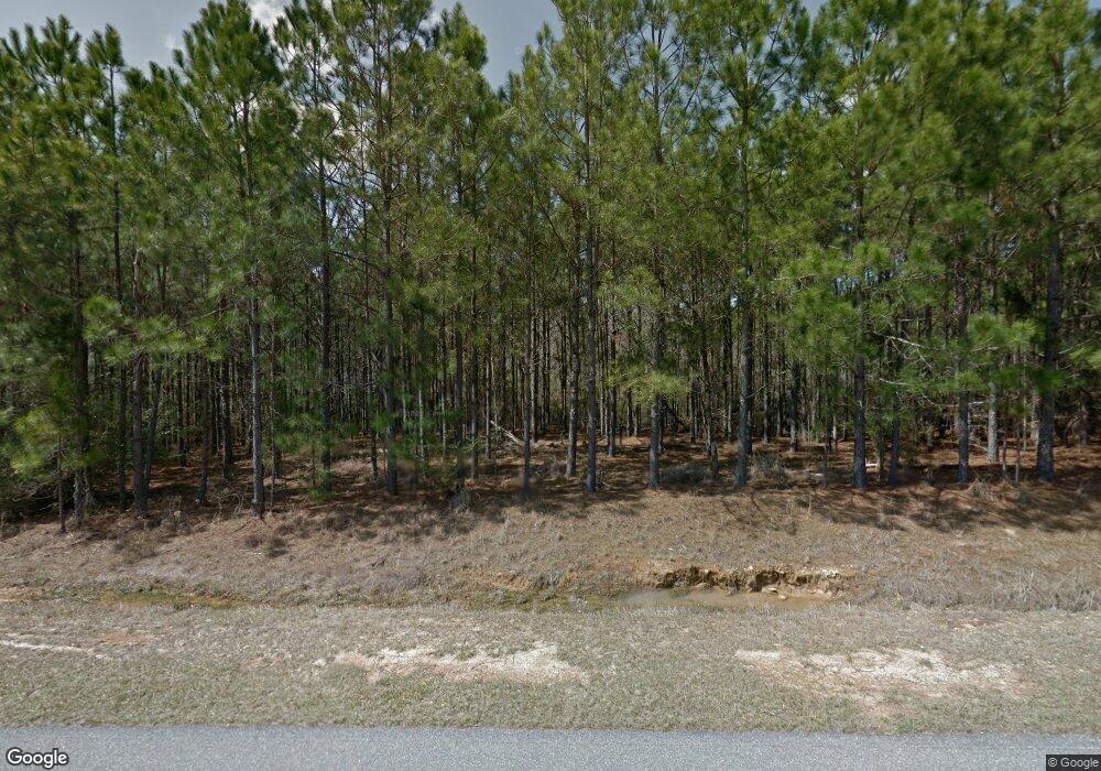 266 Buckhorn Creek Rd, Vidalia, GA 30474 - photo 1