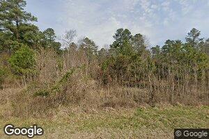 4125 Steephollow Rd, Gibson, GA 30810