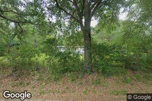 170 Springbank Church Rd, Chatom, AL 36518