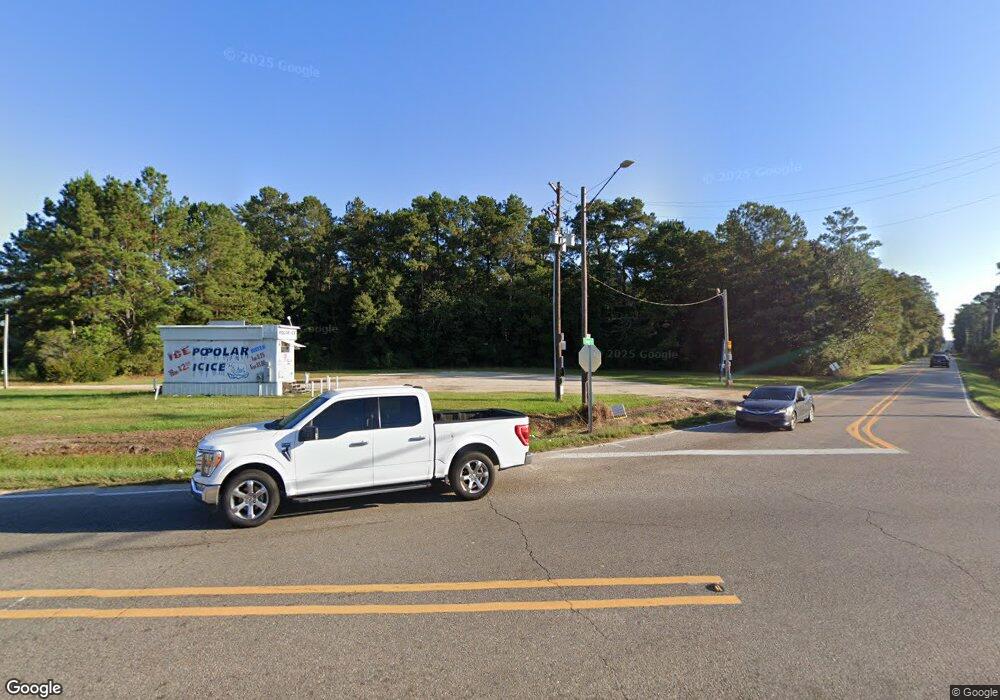 2437 Highway 43 S, Picayune, MS 39466 - photo 1