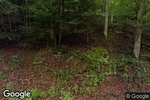 1433 Big Pigeon Rd, Pigeon, WV 25164