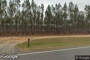 1830 Ga Highway 377, Smithville, GA 31787