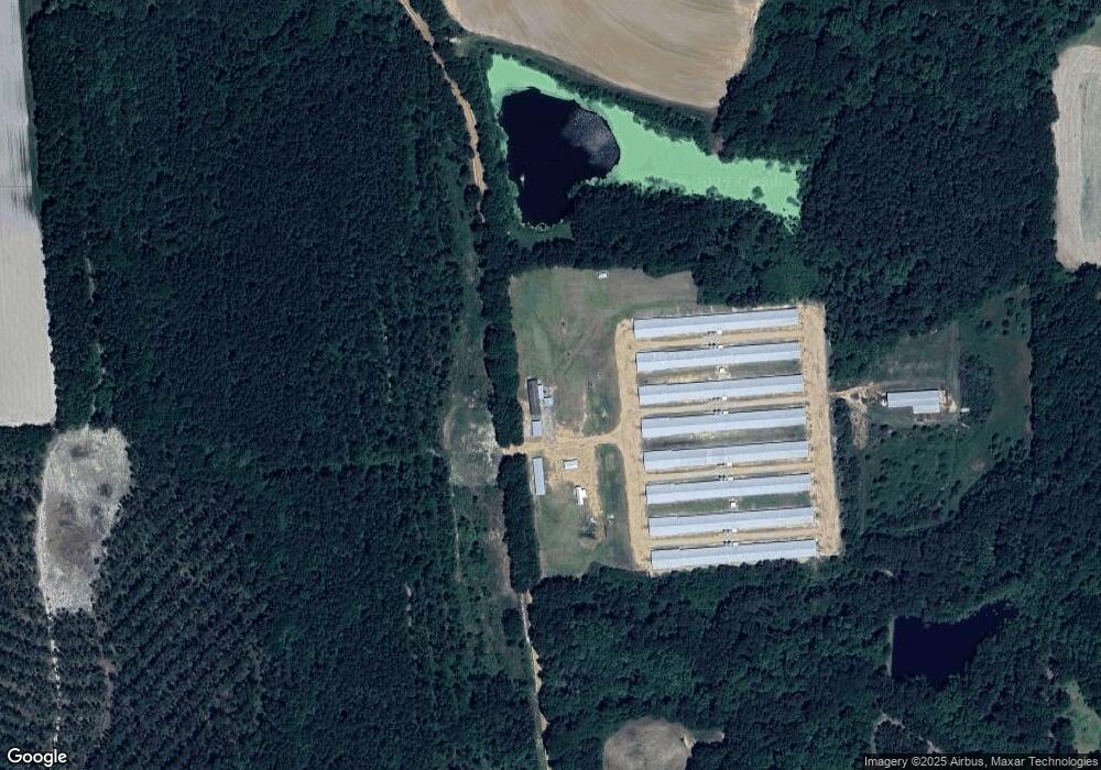 4142 Old Albany Rd, Doerun, GA 31744 - photo 1