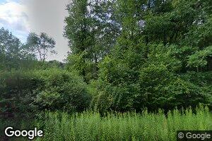 10833 Brown Rd, Springport, MI 49284