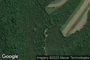 488 Ritter Ridge Rd, Beavertown, PA 17813